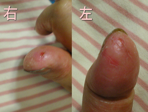 te090529a.jpg